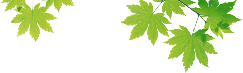 خدمات گرافیک غدیرنگار